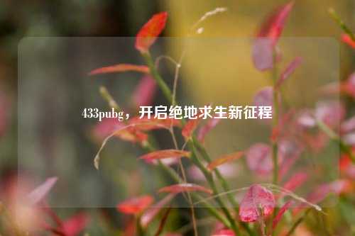 433pubg，开启绝地求生新征程