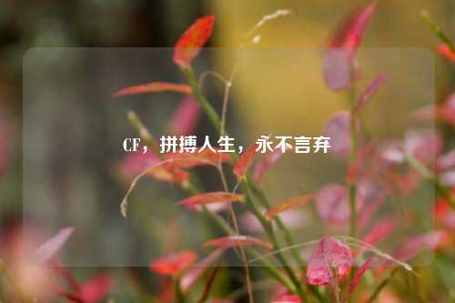 CF，拼搏人生，永不言弃