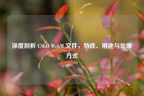 深度剖析 CSGO WebM 文件,特性、用途与处理方式