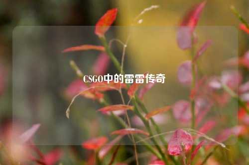 CSGO中的雷雷传奇