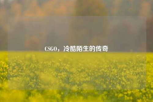 CSGO，冷酷陌生的传奇