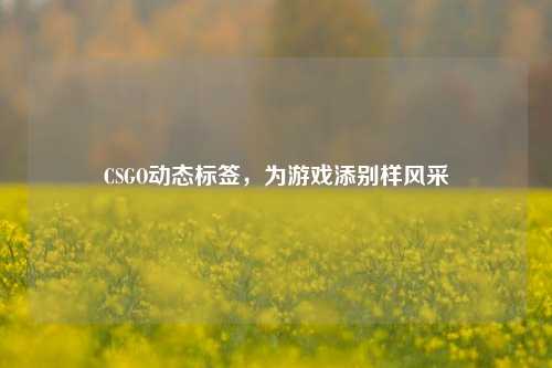 CSGO动态标签，为游戏添别样风采