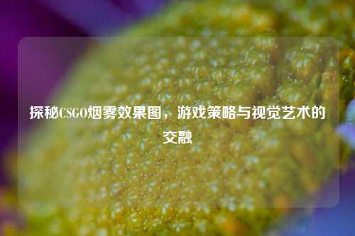 探秘CSGO烟雾效果图,游戏策略与视觉艺术的交融
