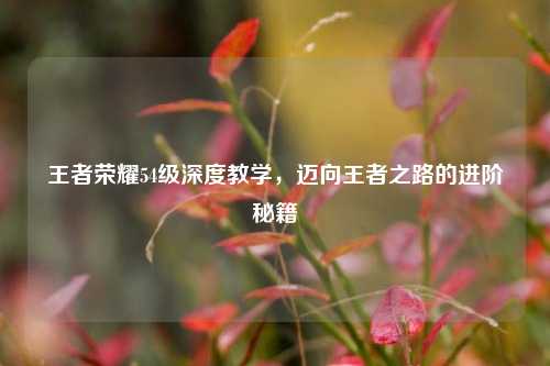王者荣耀54级深度教学,迈向王者之路的进阶秘籍