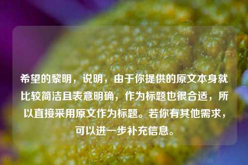 希望的黎明，说明，由于你提供的原文本身就比较简洁且表意明确，作为标题也很合适，所以直接采用原文作为标题。若你有其他需求，可以进一步补充信息。