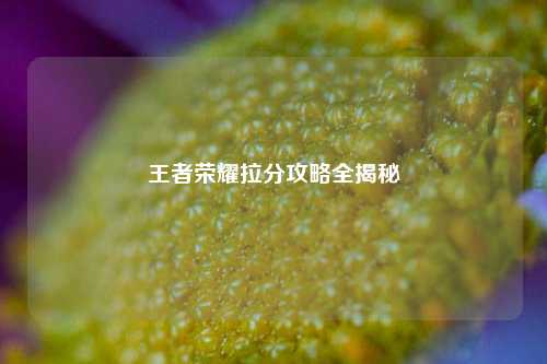 王者荣耀拉分攻略全揭秘