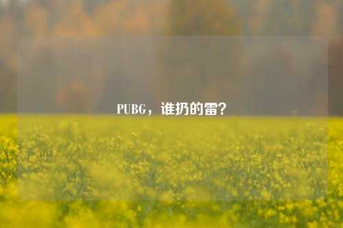 PUBG,谁扔的雷?