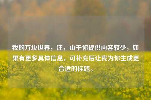 我的方块世界，注，由于你提供内容较少，如果有更多具体信息，可补充后让我为你生成更合适的标题。