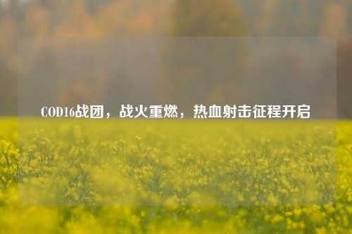 COD16战团,战火重燃,热血射击征程开启