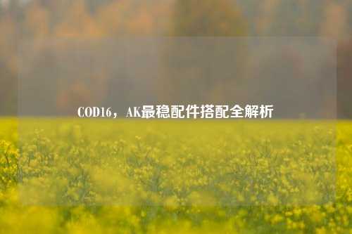 COD16，AK最稳配件搭配全解析