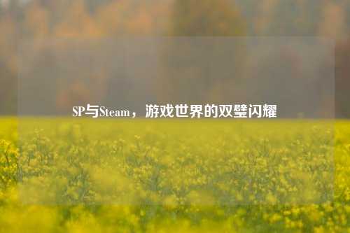 SP与Steam，游戏世界的双璧闪耀