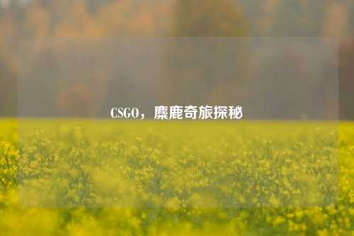 CSGO,麋鹿奇旅探秘