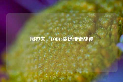 图拉夫，COD16战场传奇战神