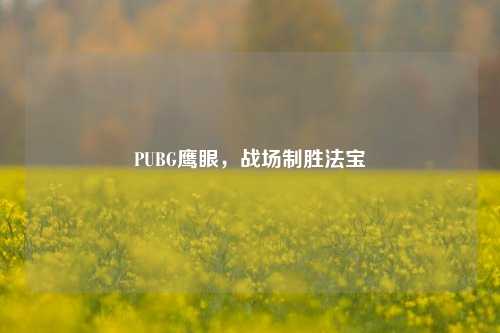 PUBG鹰眼，战场制胜法宝