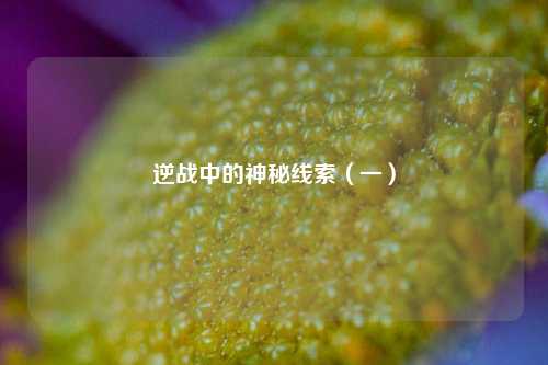 逆战中的神秘线索（一）