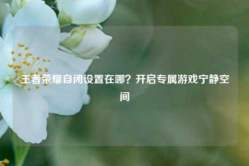 王者荣耀自闭设置在哪？开启专属游戏宁静空间
