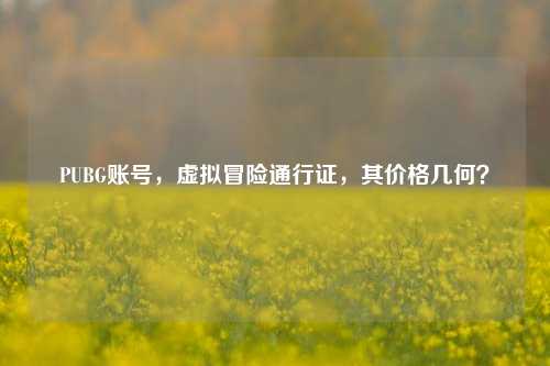 PUBG账号,虚拟冒险通行证,其价格几何?