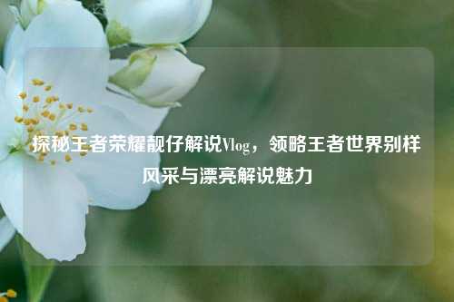 探秘王者荣耀靓仔解说Vlog,领略王者世界别样风采与漂亮解说魅力