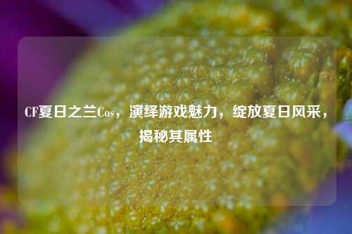 CF夏日之兰Cos,演绎游戏魅力,绽放夏日风采,揭秘其属性