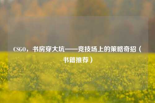 CSGO,书房穿大坑——竞技场上的策略奇招(书籍推荐)