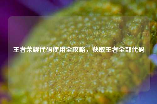 王者荣耀代码使用全攻略，获取王者全部代码
