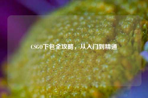 CSGO下包全攻略,从入门到精通
