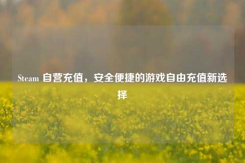 Steam 自营充值,安全便捷的游戏自由充值新选择