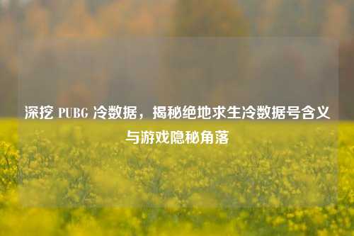 深挖 PUBG 冷数据,揭秘绝地求生冷数据号含义与游戏隐秘角落