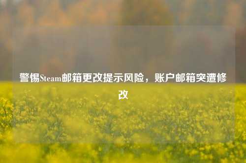 警惕Steam邮箱更改提示风险,账户邮箱突遭修改
