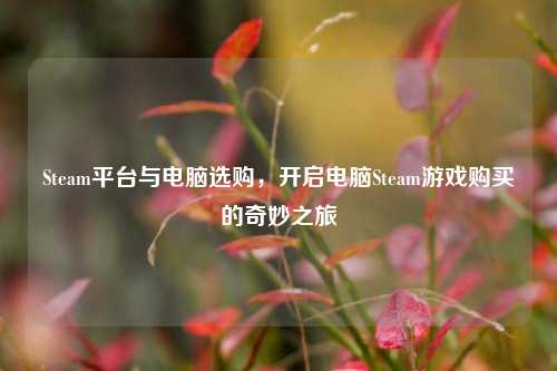 Steam平台与电脑选购,开启电脑Steam游戏购买的奇妙之旅