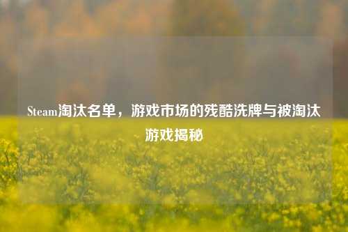 Steam淘汰名单，游戏市场的残酷洗牌与被淘汰游戏揭秘