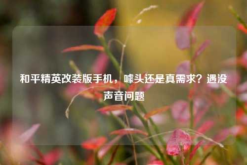 和平精英改装版手机，噱头还是真需求？遇没声音问题