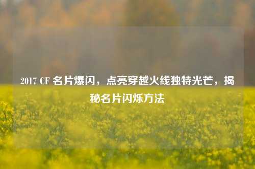 2017 CF 名片爆闪,点亮穿越火线独特光芒,揭秘名片闪烁方法