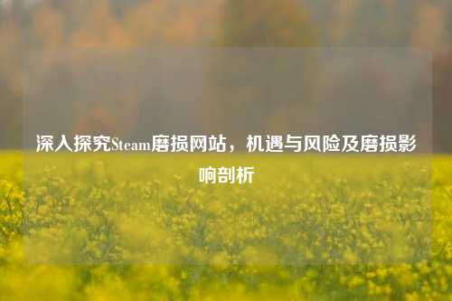深入探究Steam磨损网站，机遇与风险及磨损影响剖析