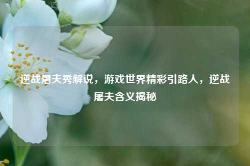 逆战屠夫秀解说，游戏世界精彩引路人，逆战屠夫含义揭秘