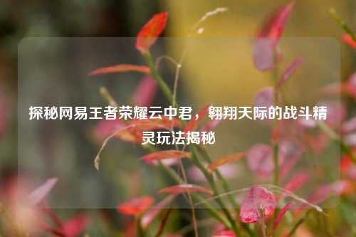 探秘网易王者荣耀云中君，翱翔天际的战斗精灵玩法揭秘