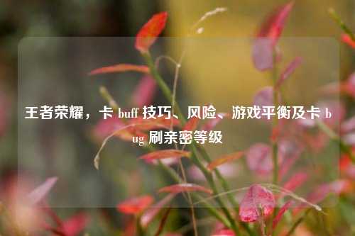 王者荣耀，卡 buff 技巧、风险、游戏平衡及卡 bug 刷亲密等级