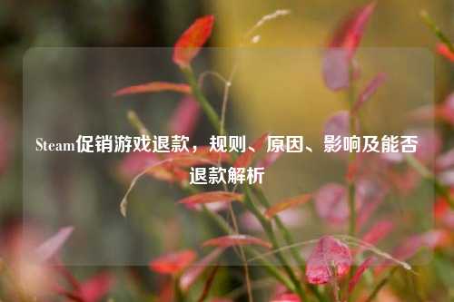 Steam促销游戏退款,规则、原因、影响及能否退款解析