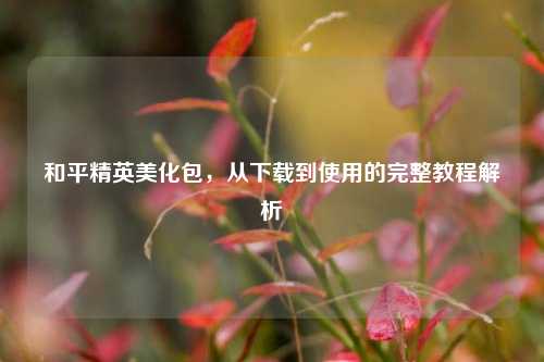 和平精英美化包，从下载到使用的完整教程解析