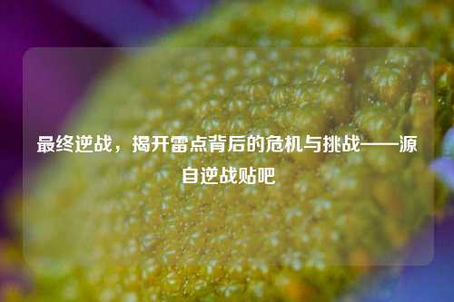 最终逆战，揭开雷点背后的危机与挑战——源自逆战贴吧