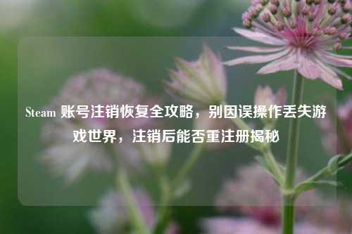 Steam 账号注销恢复全攻略,别因误操作丢失游戏世界,注销后能否重注册揭秘