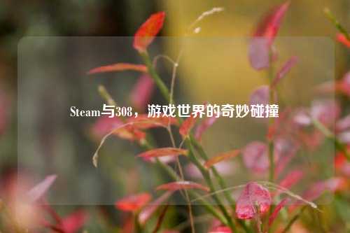 Steam与308，游戏世界的奇妙碰撞