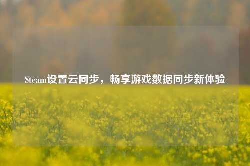 Steam设置云同步，畅享游戏数据同步新体验