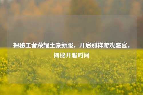 探秘王者荣耀土豪新服，开启别样游戏盛宴，揭秘开服时间