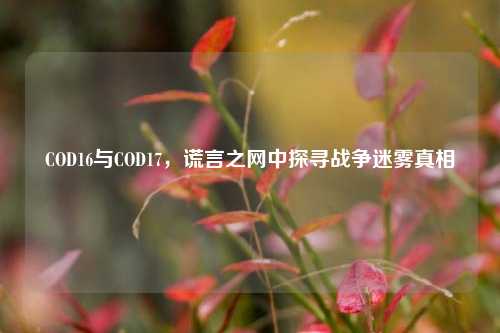COD16与COD17,谎言之网中探寻战争迷雾真相