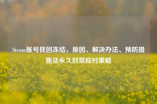 Steam账号找回冻结，原因、解决办法、预防措施及永久封禁应对策略