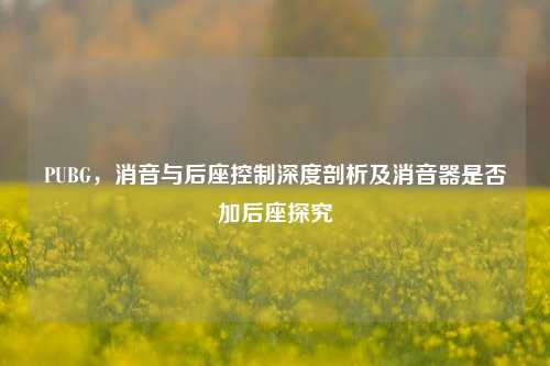 PUBG,消音与后座控制深度剖析及消音器是否加后座探究