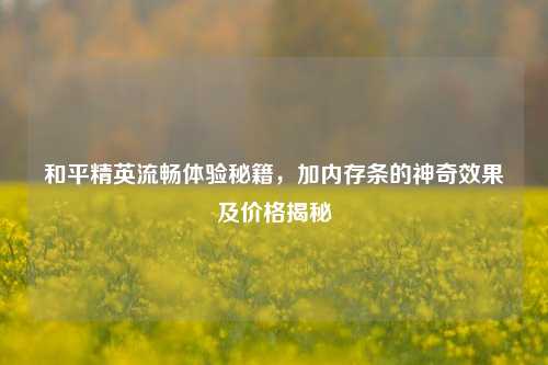 和平精英流畅体验秘籍，加内存条的神奇效果及价格揭秘