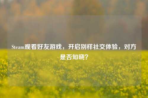 Steam观看好友游戏,开启别样社交体验,对方是否知晓?