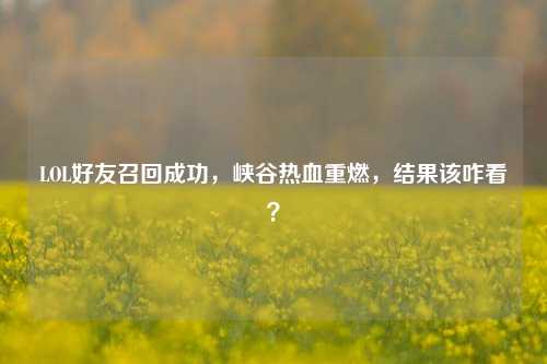 LOL好友召回成功,峡谷热血重燃,结果该咋看?